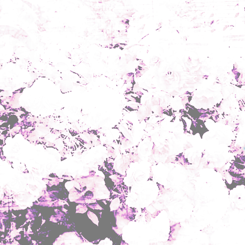 1000010184.png