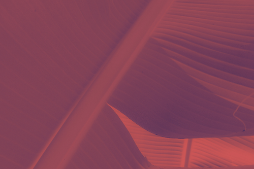 temp.png