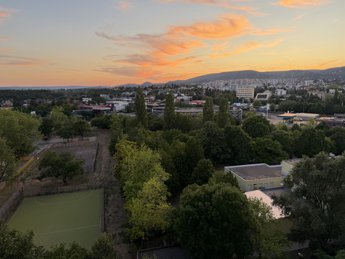 IMG 0779.jpg