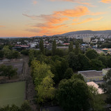 IMG 0779