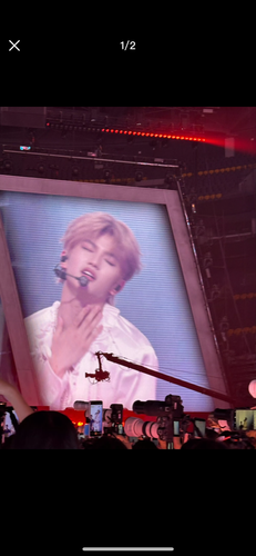 IMG 1849.png