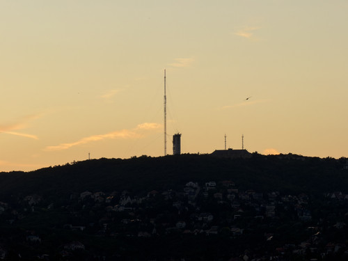 IMG 0776.jpg
