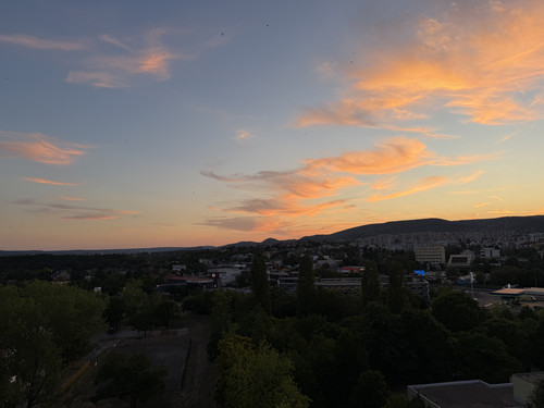 IMG 0774.jpg