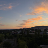 IMG 0774