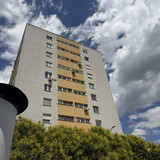 IMG 0524
