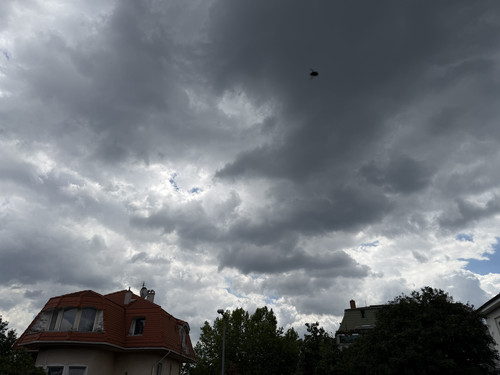 IMG 0500.jpg