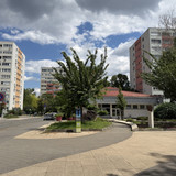IMG 0517