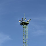 IMG 0068