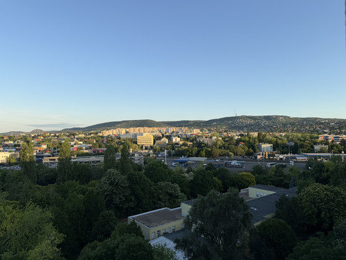 IMG 0158.jpg