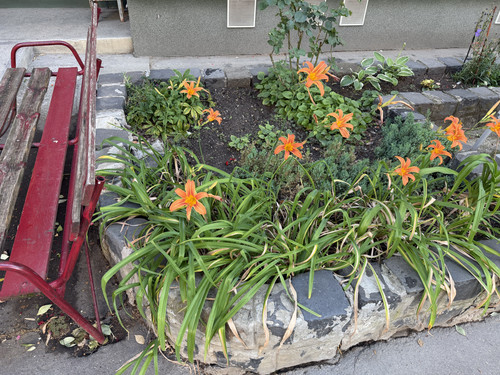 IMG 0280.jpg