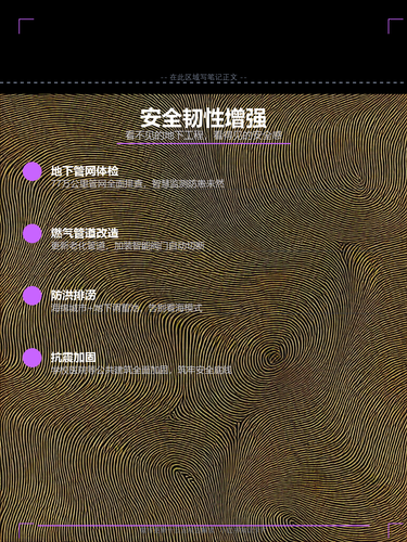 05 安全韧性增强.png