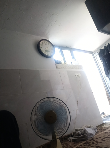 temp.png