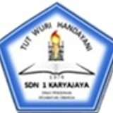 Logo SD.jpg