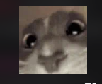 firefox 3cnu4ZBFca.png