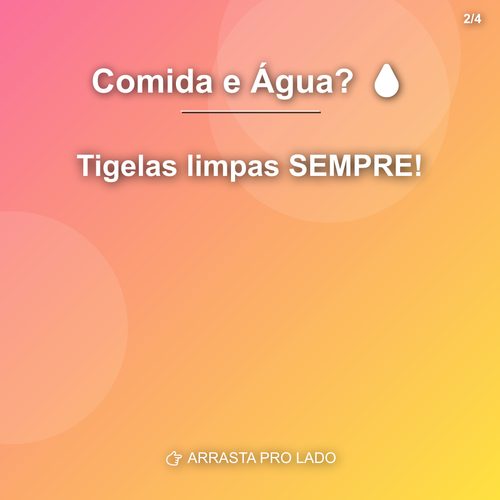 carousel 1782561613389 slide2.png