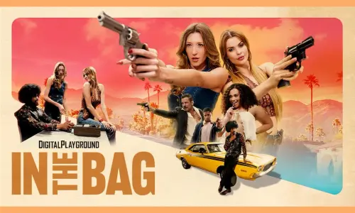 in the bag dp.webp