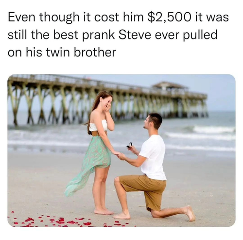 twin.png