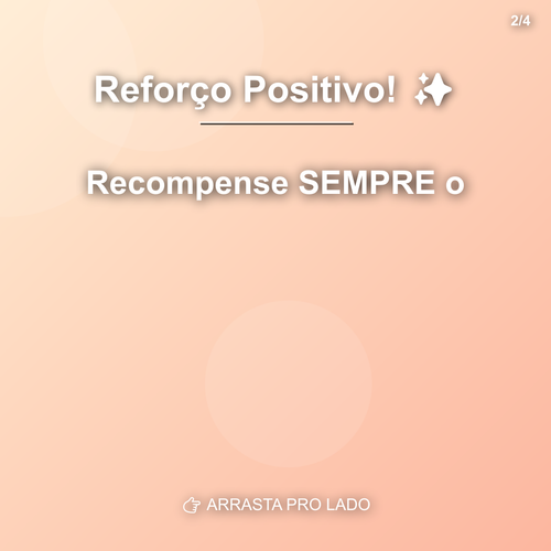 carousel 1782576013828 slide2.png