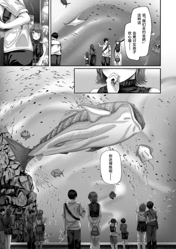 48 048.webp