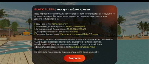 7904.jpg