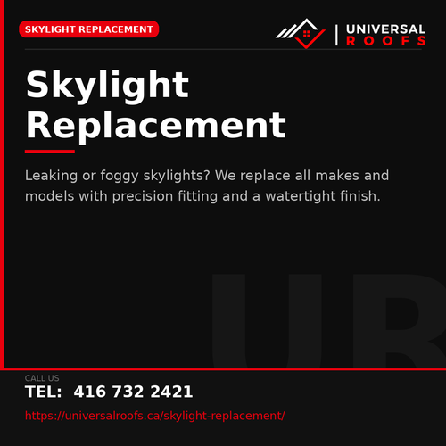 06 skylight replacement.png