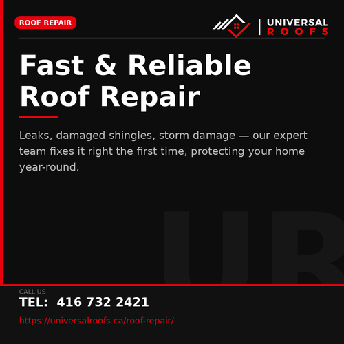 02 roof repair.png