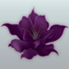 2539 zunduDH.png