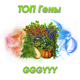 shop icon32