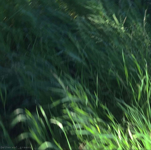 out.jpg