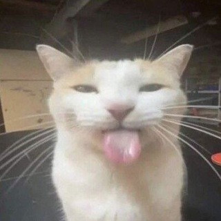 d6HoBMo8yonL KvrnDdDfZyAY tjf2sQlCEosIMacaNo2fVhHvdB a1 dfuTyYCMth5NHi2cEwsvi bZHPf8GH6FkTnKWVK4X0HW.jpg