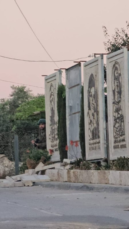 صورة الخبر