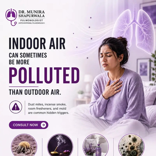 Indoor Air Pollution Identifying Hidden Triggers at Home.jpg