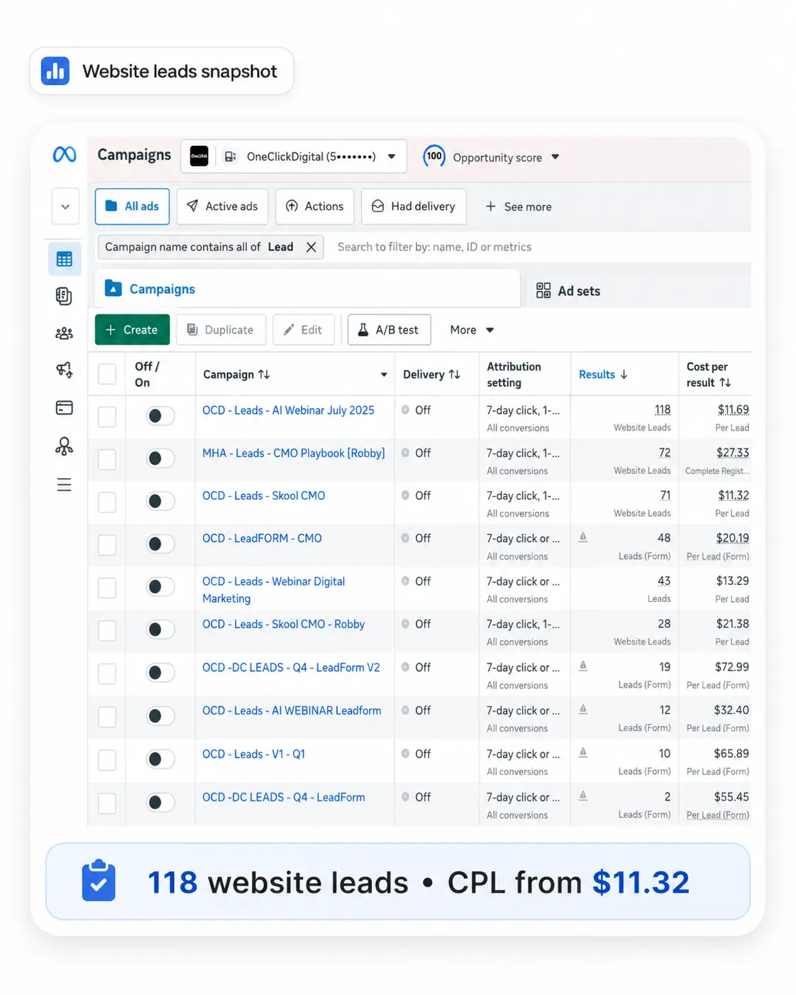 SaaS website lead campaign results