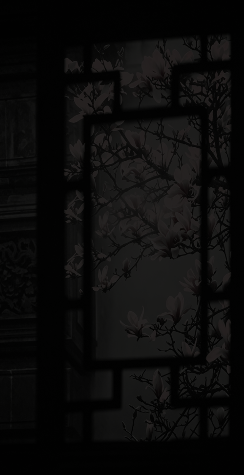 Image 1782669089038 150.png