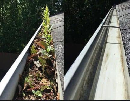 gutter cleaning christchurch.jpg