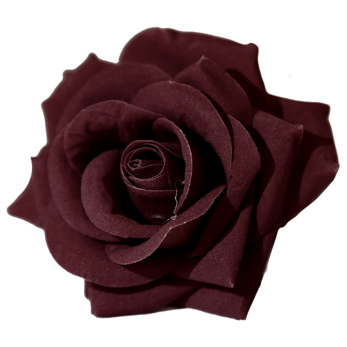 1782712145326.png