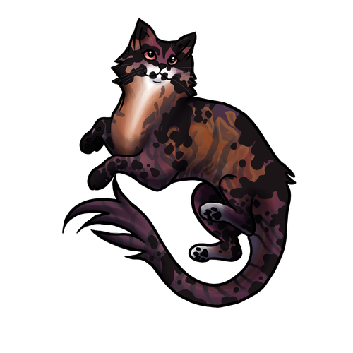 nieth house cat.png