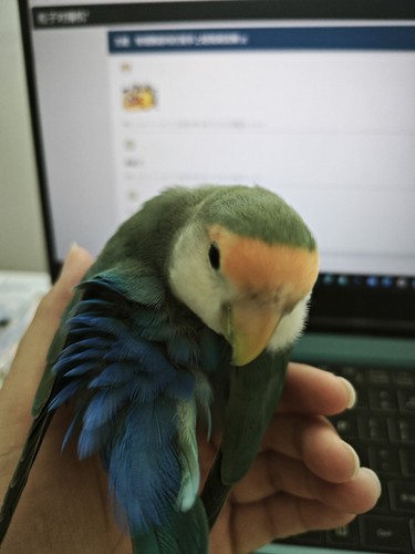 1782617625278.jpg