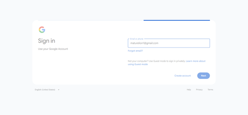 2026 06 28T00 48 04 790Z GOOGLE email entered password.png