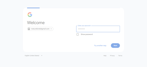 2026 06 28T00 48 07 447Z GOOGLE password entered.png