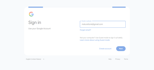 2026 06 28T00 48 04 077Z GOOGLE email entered password.png