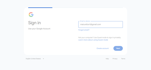 2026 06 28T00 43 12 387Z GOOGLE email entered password.png