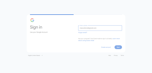 2026 06 28T00 43 39 932Z GOOGLE email entered password.png