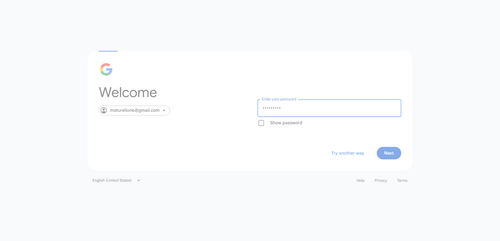 2026 06 28T00 43 44 345Z GOOGLE password entered.png