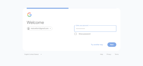 2026 06 28T00 43 17 431Z GOOGLE password entered.png