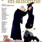 10 jardins en automne