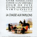 06 la chasse aux papillons