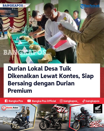 IG HONDA 20260628 194934 Durian Lokal Desa Tuik Dikenalkan Lewat.jpg