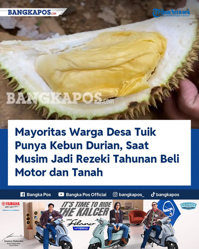 IG YAMAHA 20260628 195523 Mayoritas Warga Desa Tuik Punya Kebun Du.jpg
