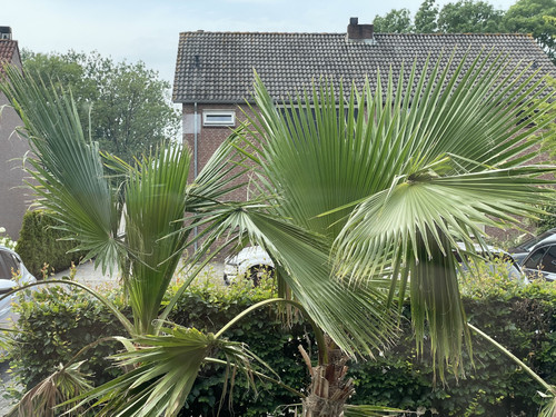 IMG 3779.jpg
